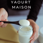 yaourt végétal